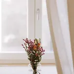 住宿加早餐酒店 Sardella 莫诺波利