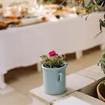 Sardella 4* 莫诺波利