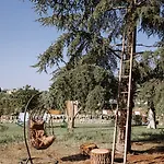 Sardella 莫诺波利