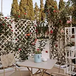 Sardella 莫诺波利